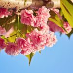 Все рабочие специальности СПб. 
                            Календарь праздников на апрель 2019 года