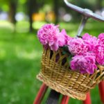 Все рабочие специальности СПб. 
                            Как россияне проведут майские праздники